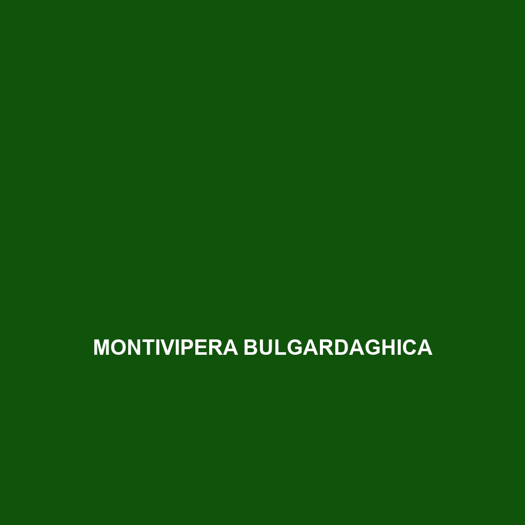 Montivipera bulgardaghica