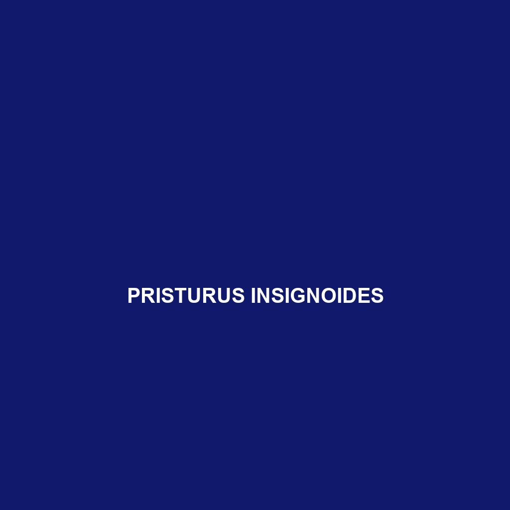 Pristurus insignoides