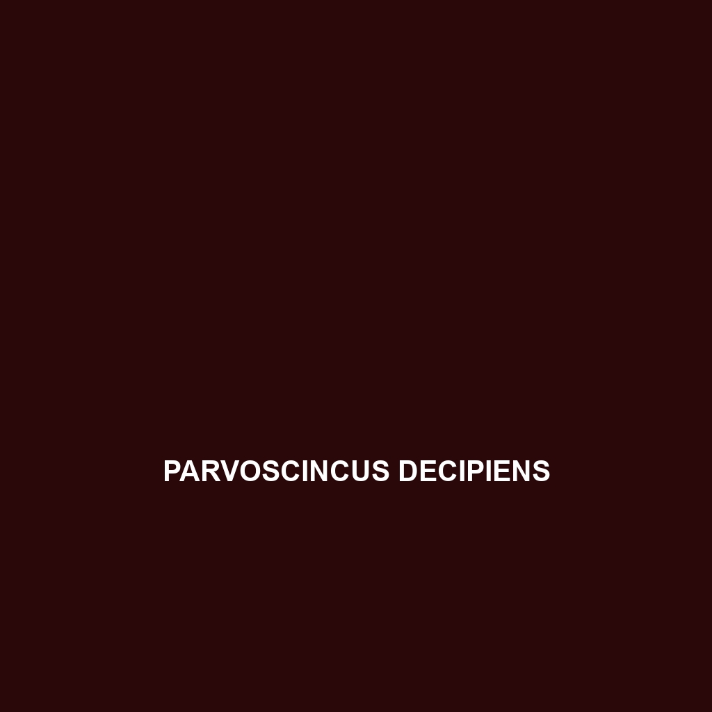 Parvoscincus decipiens