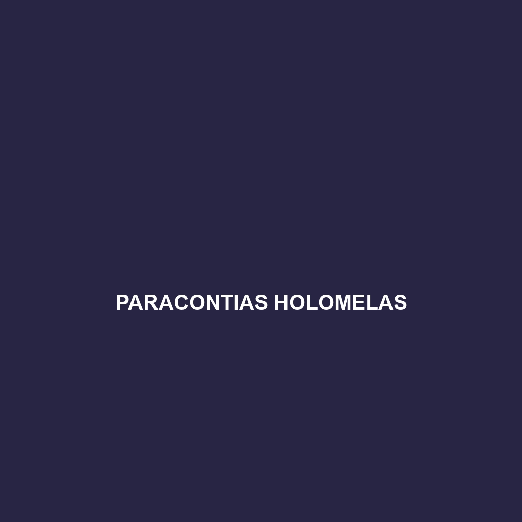 Paracontias holomelas