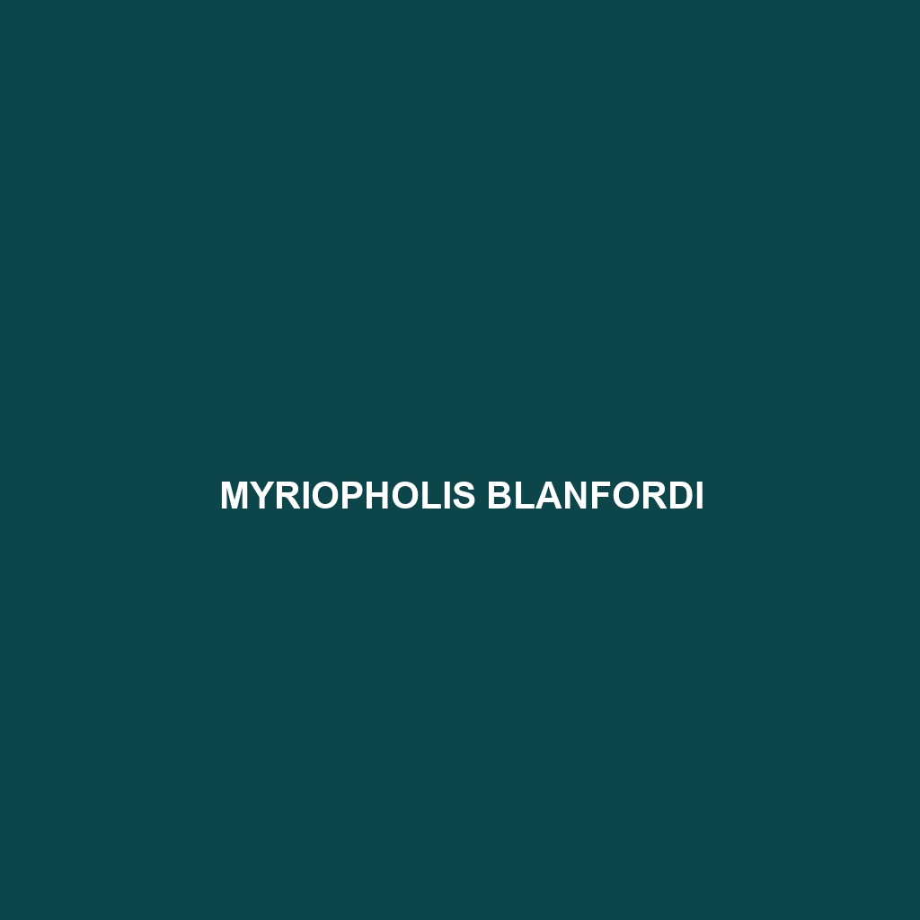 Myriopholis blanfordi