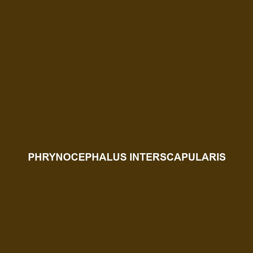 Phrynocephalus interscapularis