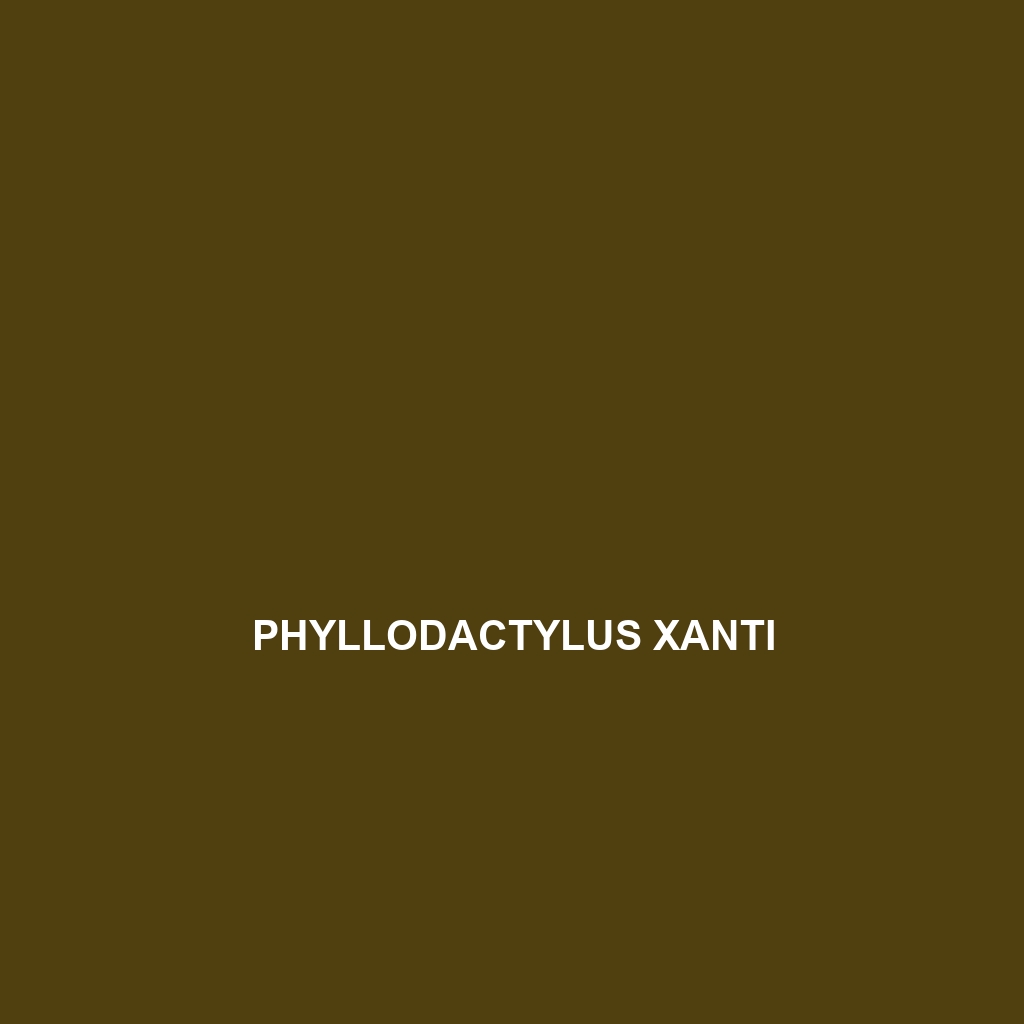 Phyllodactylus xanti