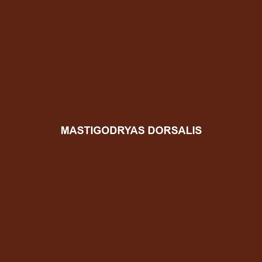 Mastigodryas dorsalis