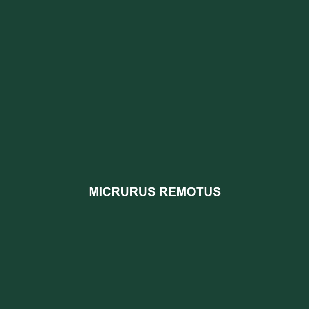 Micrurus remotus