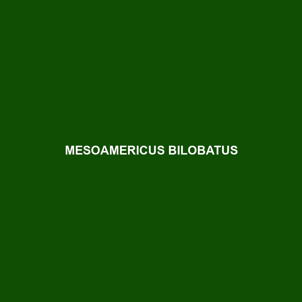 Mesoamericus bilobatus