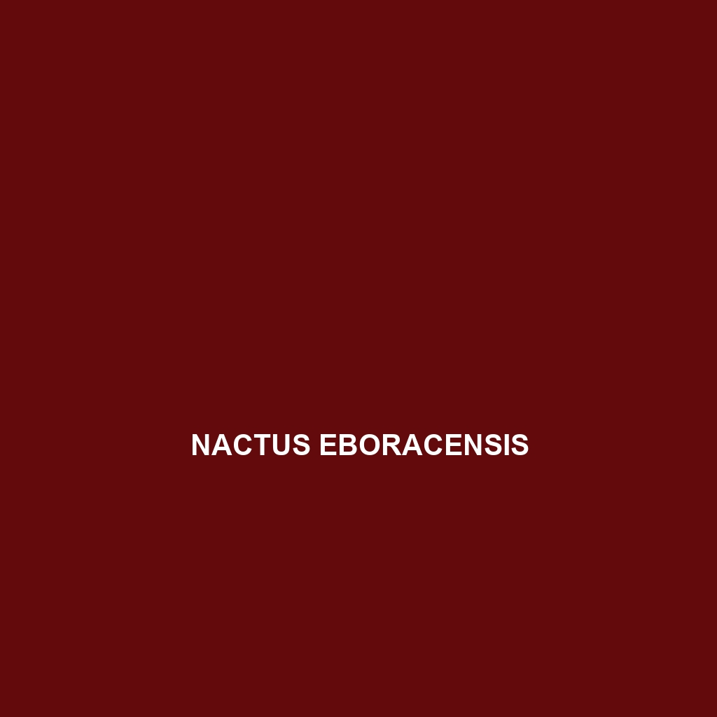 Nactus eboracensis