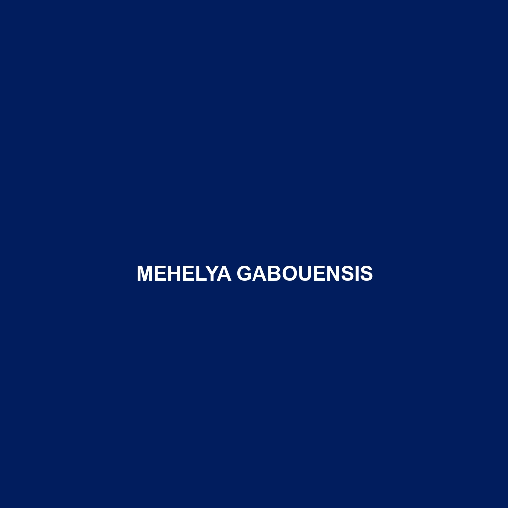 Mehelya gabouensis