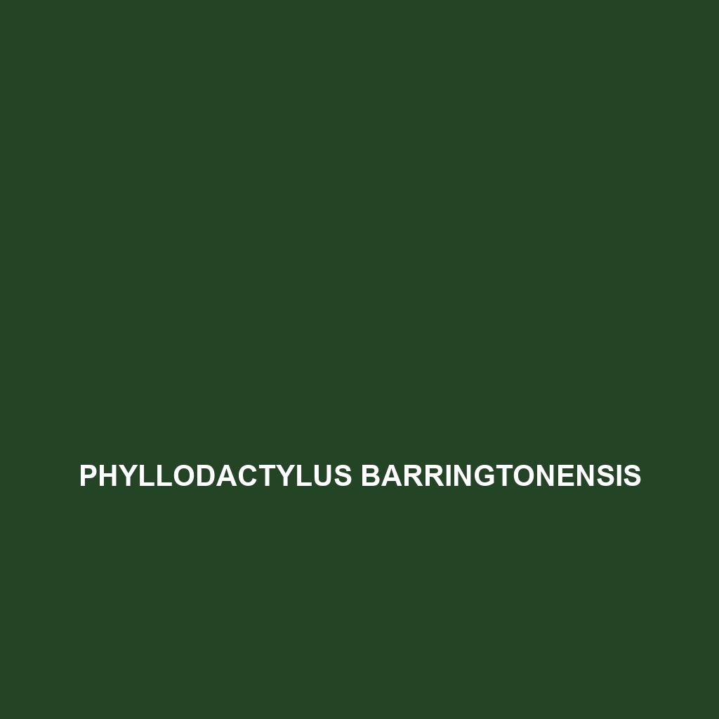 Phyllodactylus barringtonensis