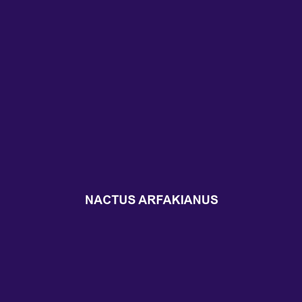 Nactus arfakianus