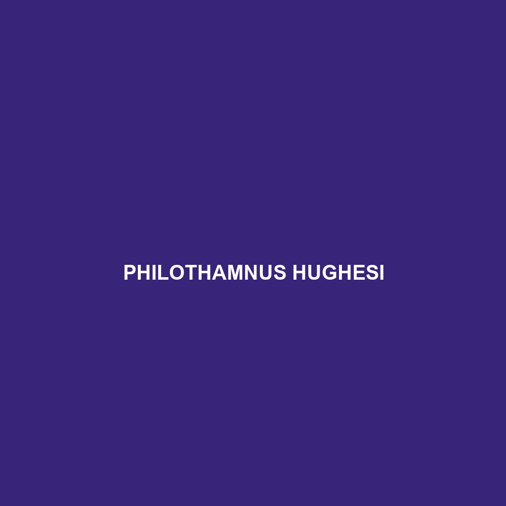 Philothamnus hughesi