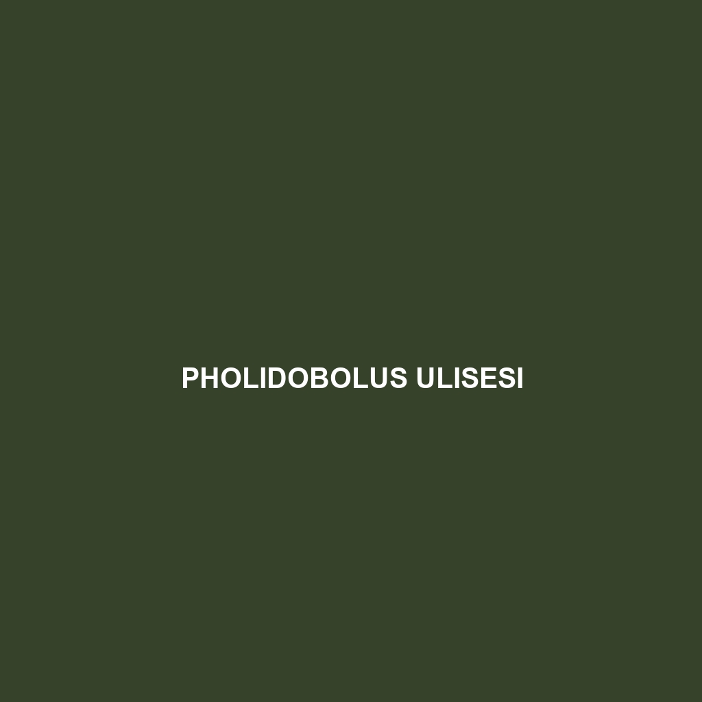 Pholidobolus ulisesi