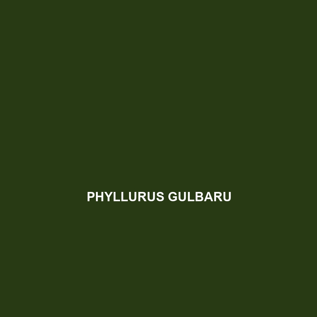 Phyllurus gulbaru