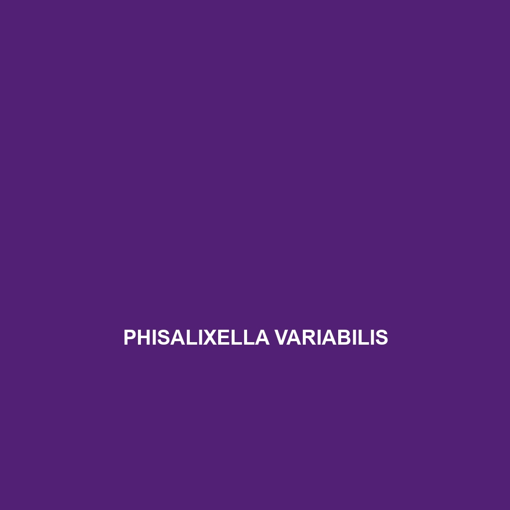 Phisalixella variabilis