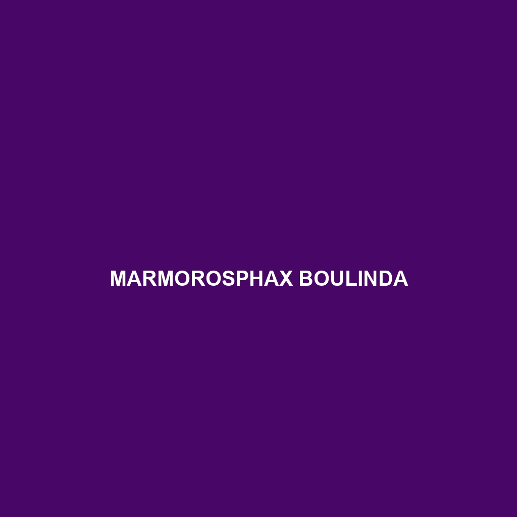 Marmorosphax boulinda