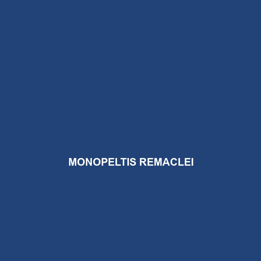 Monopeltis remaclei