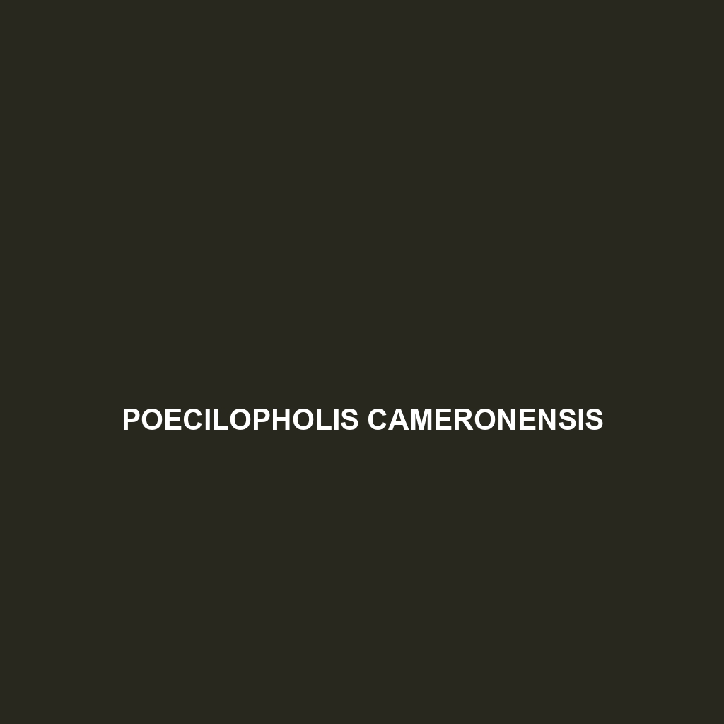 Poecilopholis cameronensis