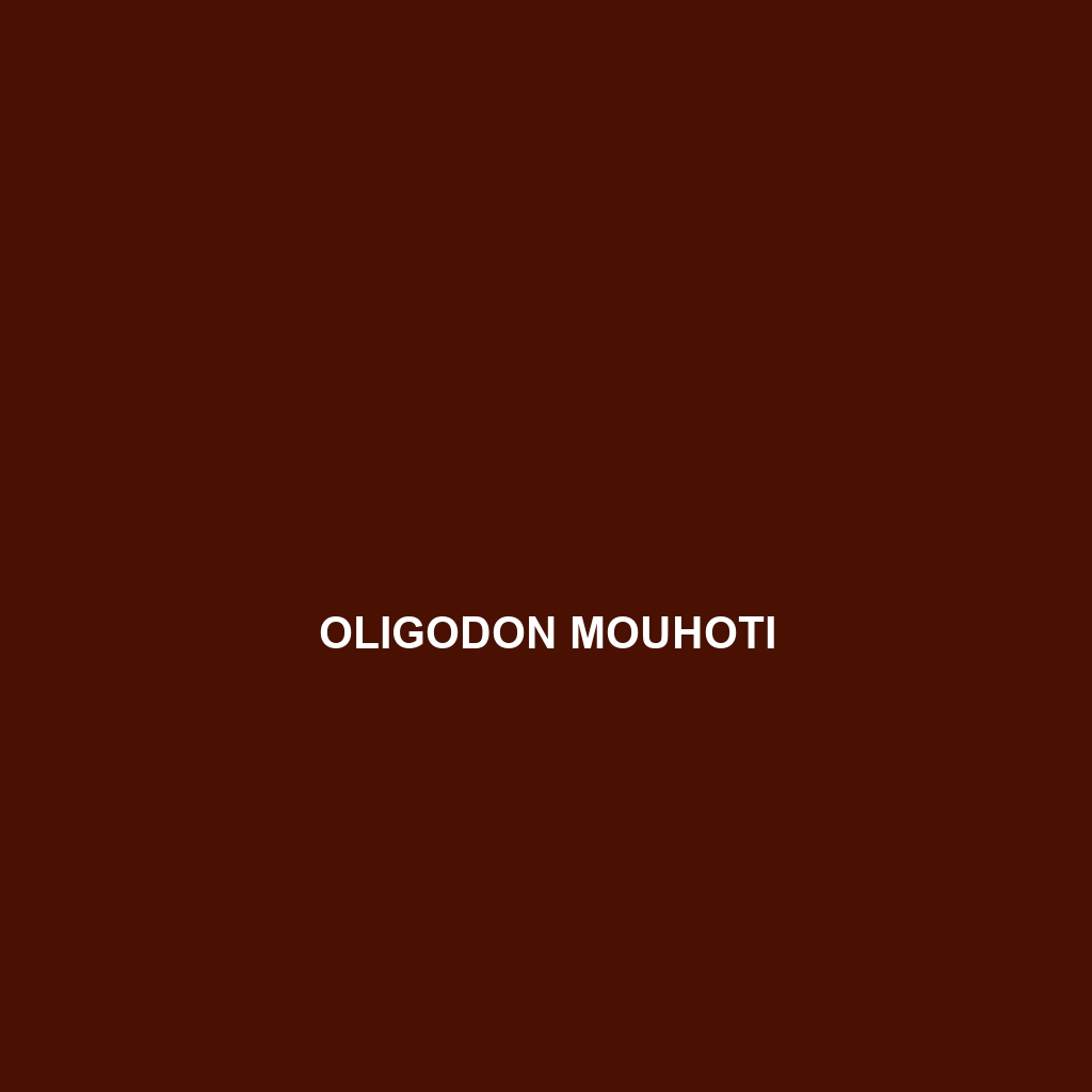 Oligodon mouhoti