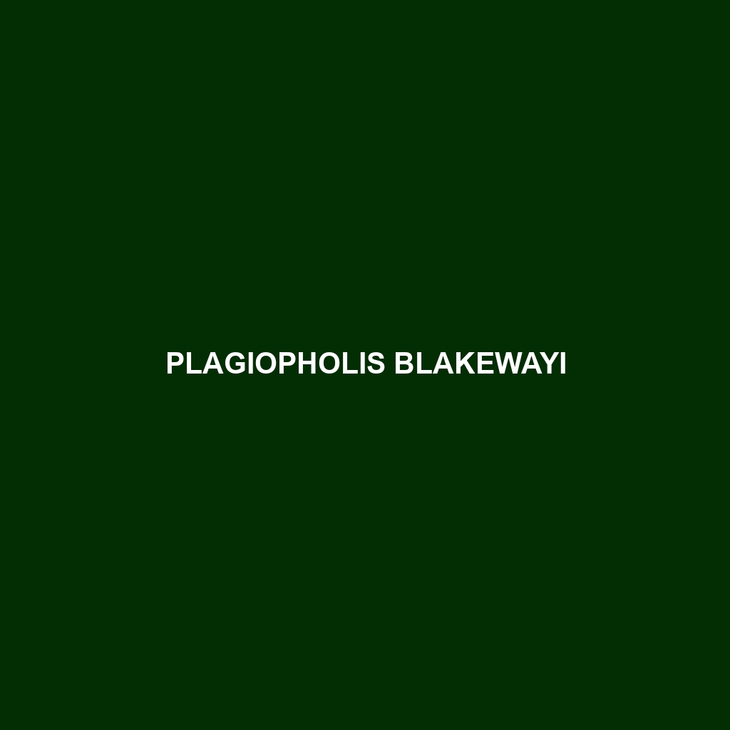 Plagiopholis blakewayi