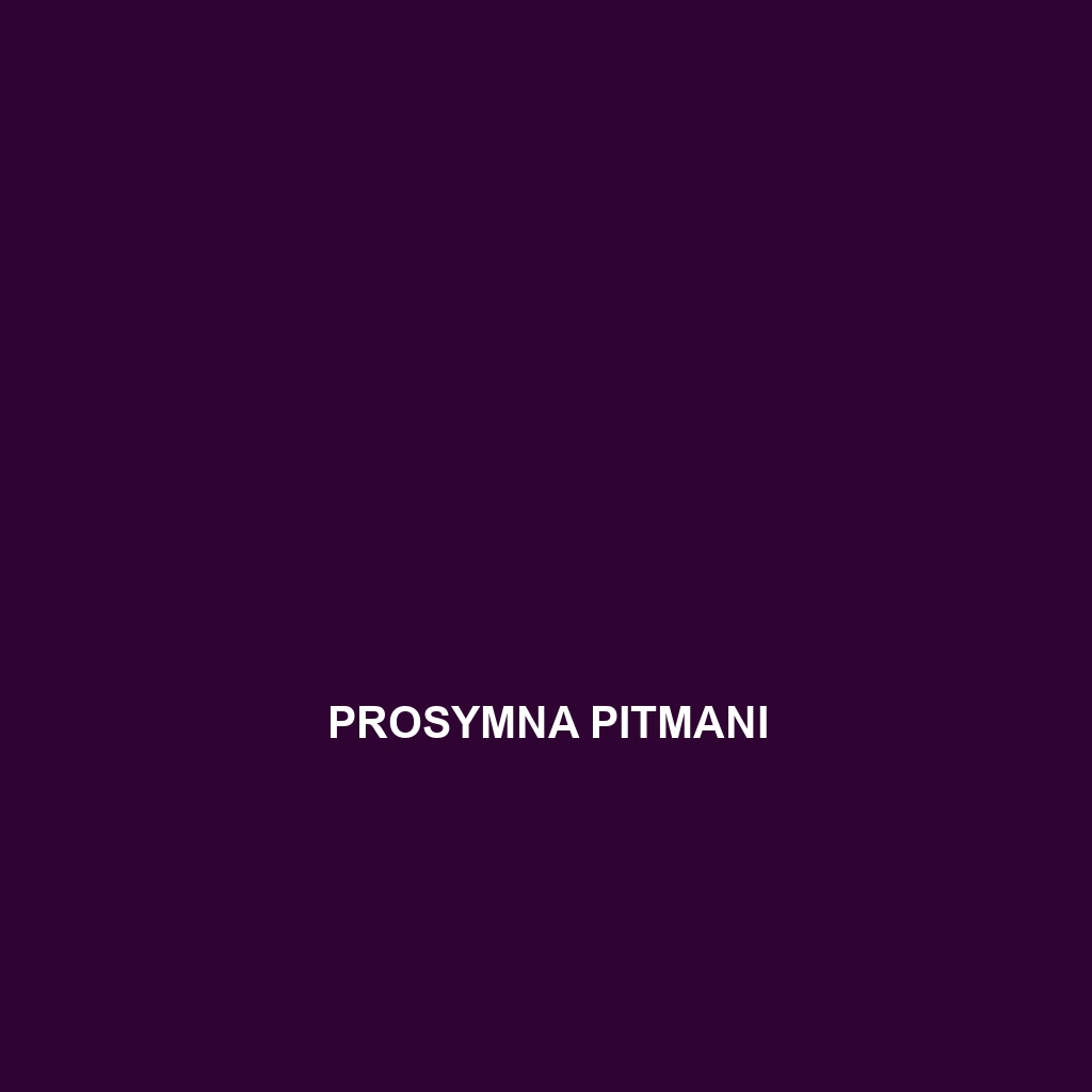 Prosymna pitmani