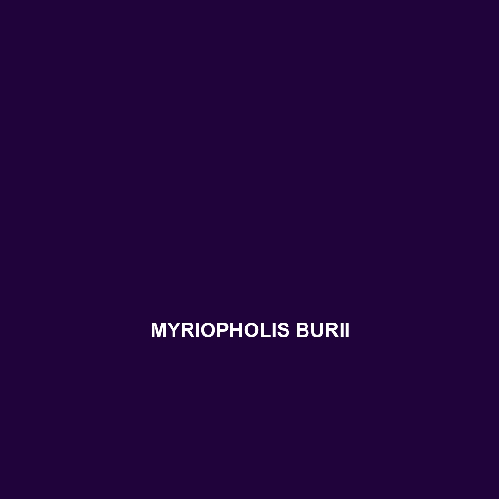 Myriopholis burii