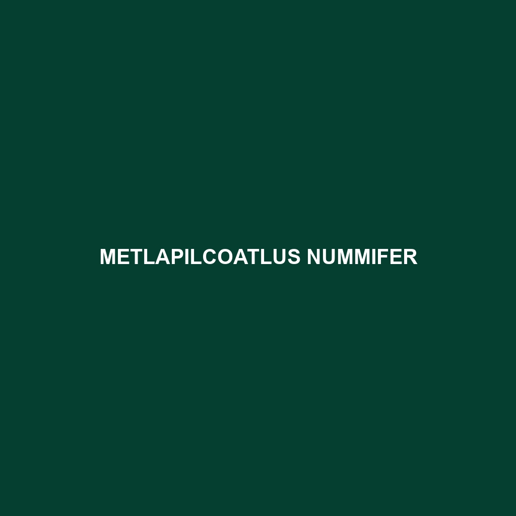 Metlapilcoatlus nummifer