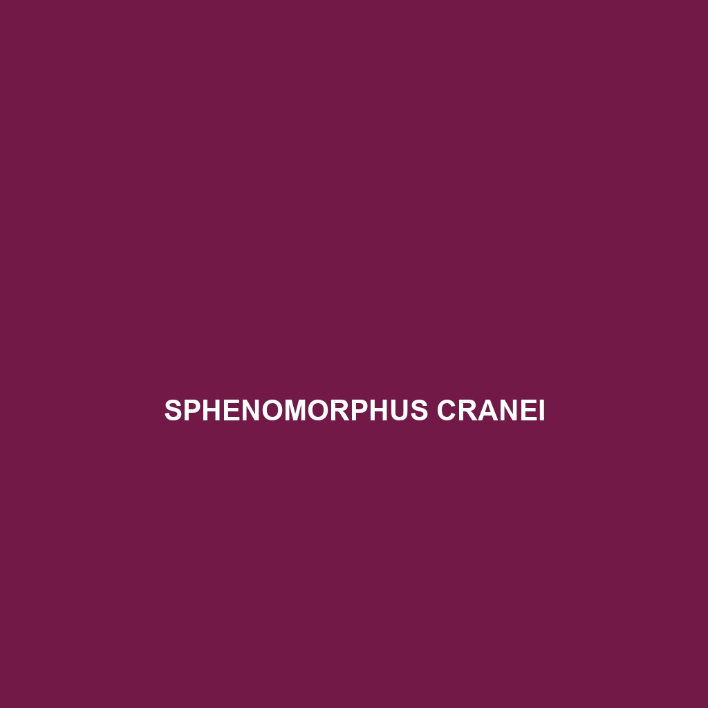 Sphenomorphus cranei