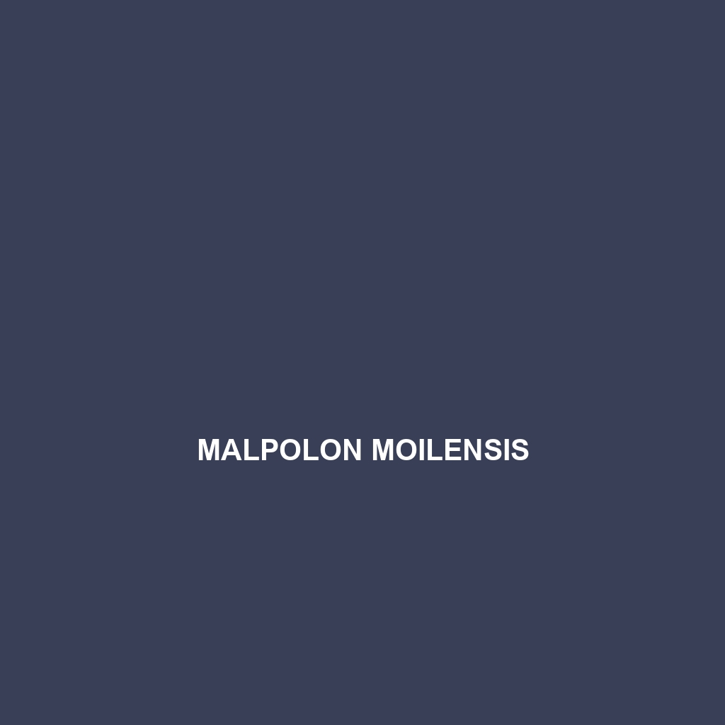 Malpolon moilensis