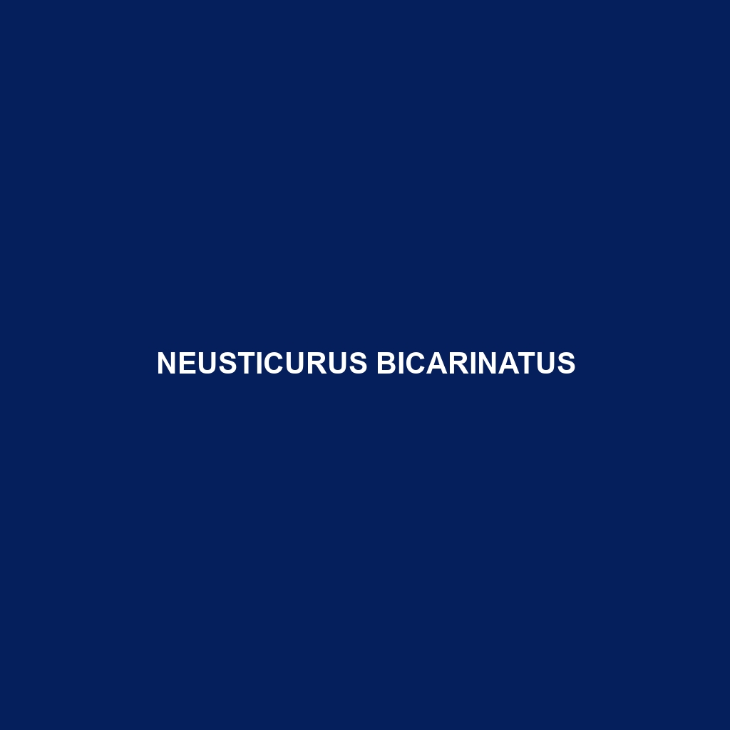 Neusticurus bicarinatus