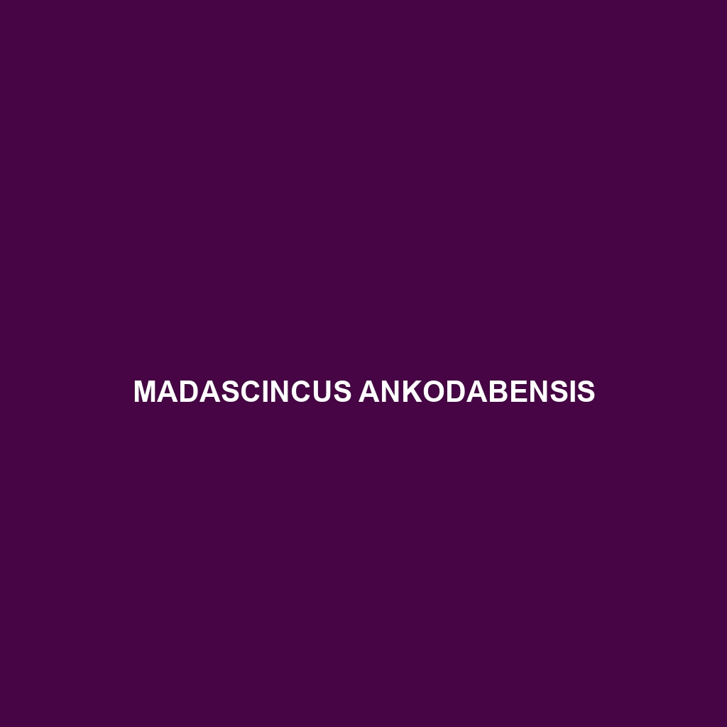 Madascincus ankodabensis