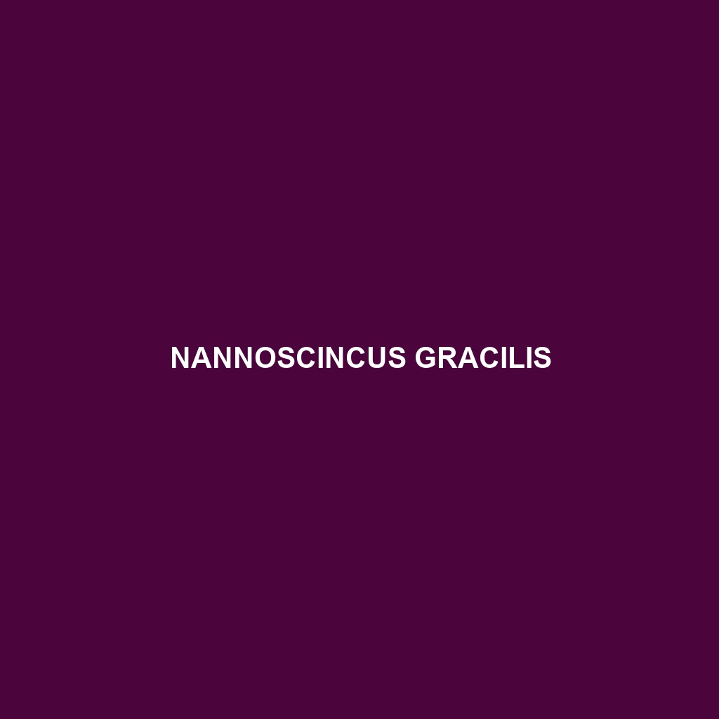 Nannoscincus gracilis