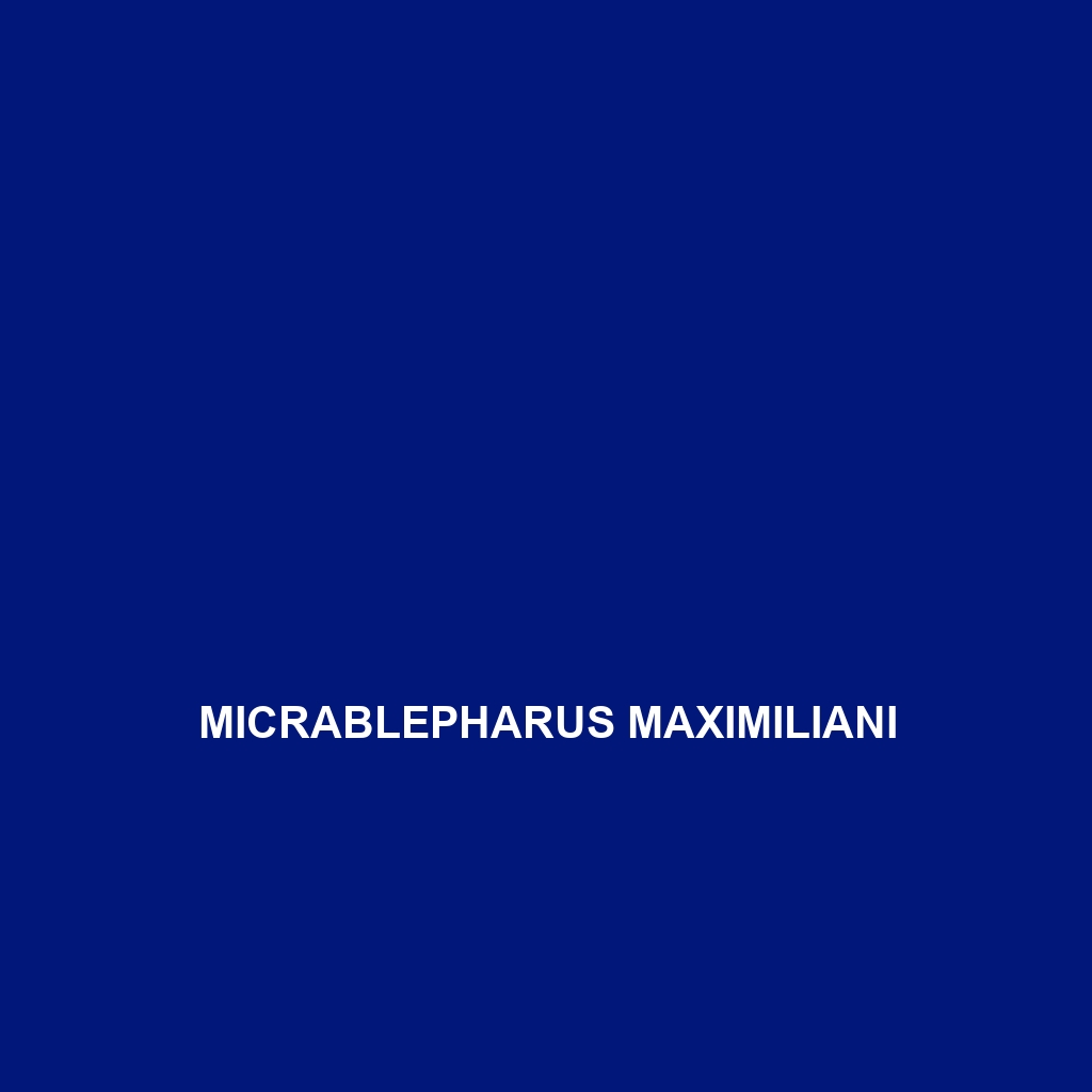 Micrablepharus maximiliani