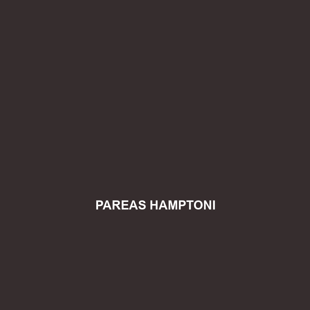 Pareas hamptoni