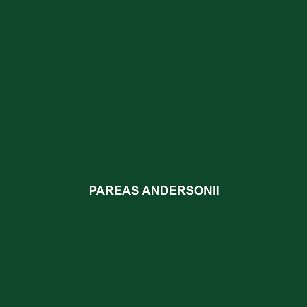 Pareas andersonii