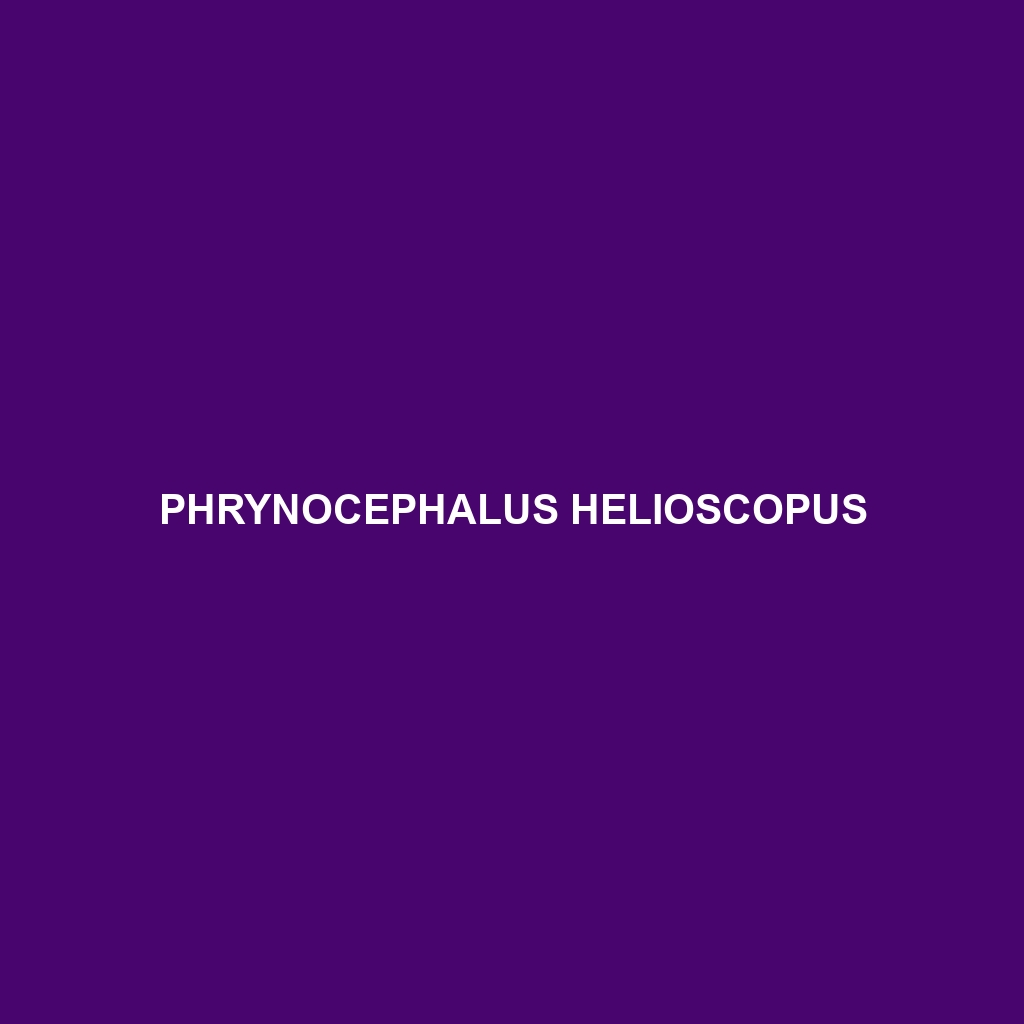 Phrynocephalus helioscopus