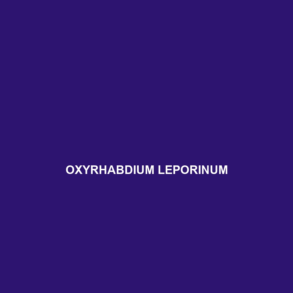 Oxyrhabdium leporinum