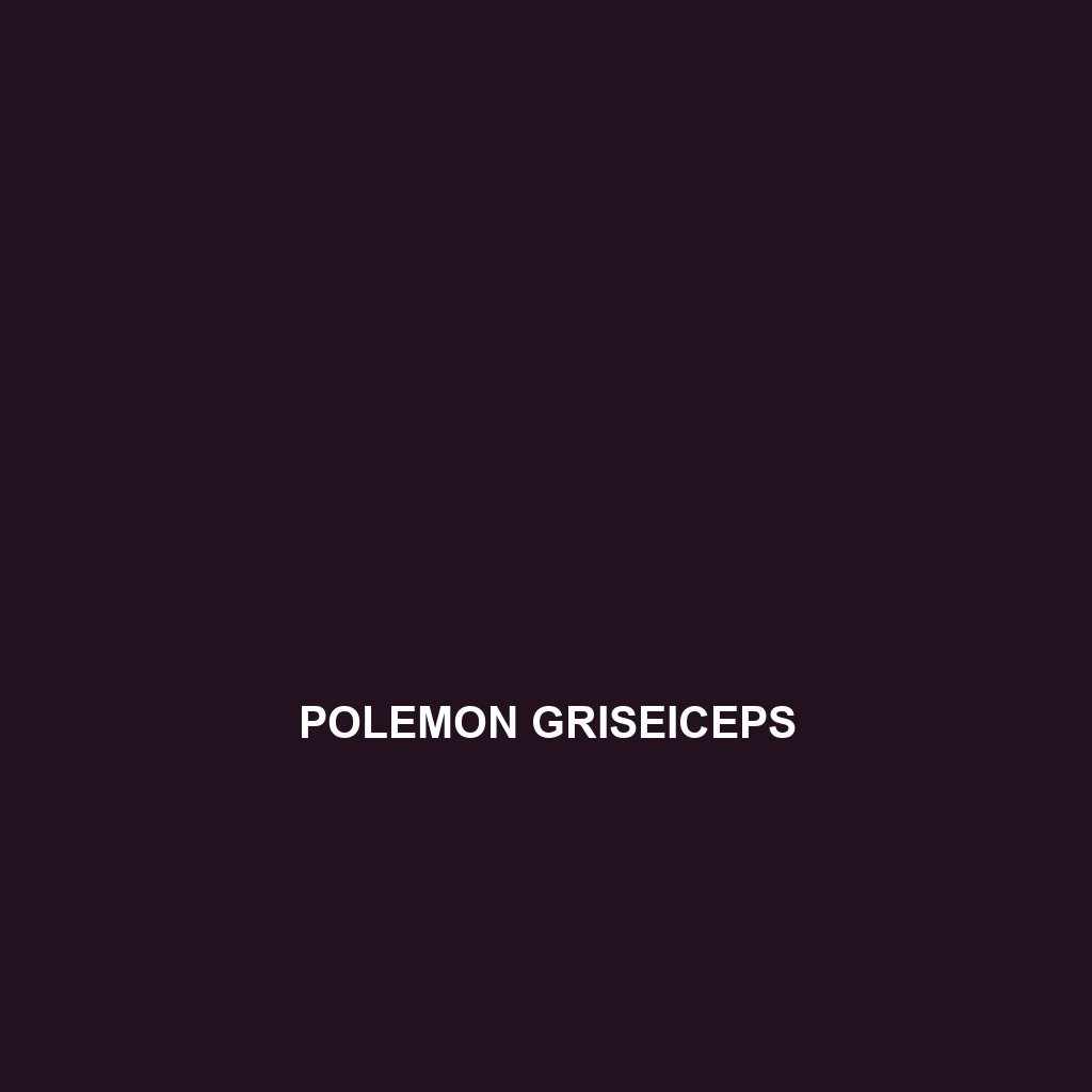 Polemon griseiceps