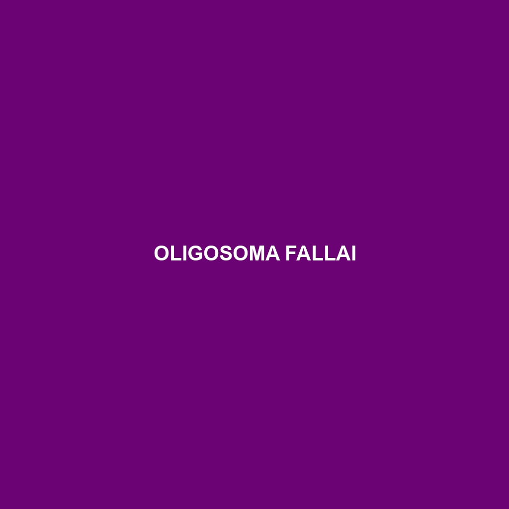 Oligosoma fallai