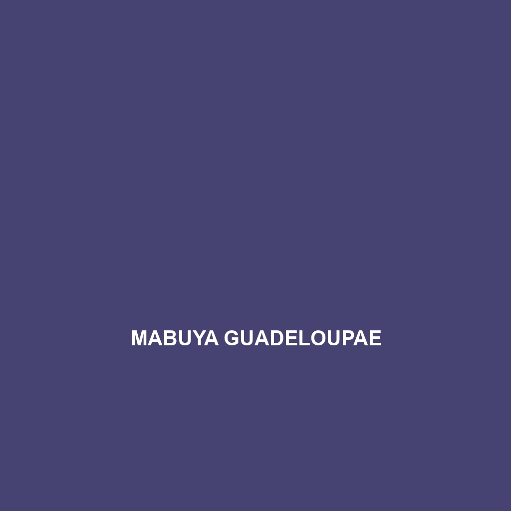 Mabuya guadeloupae