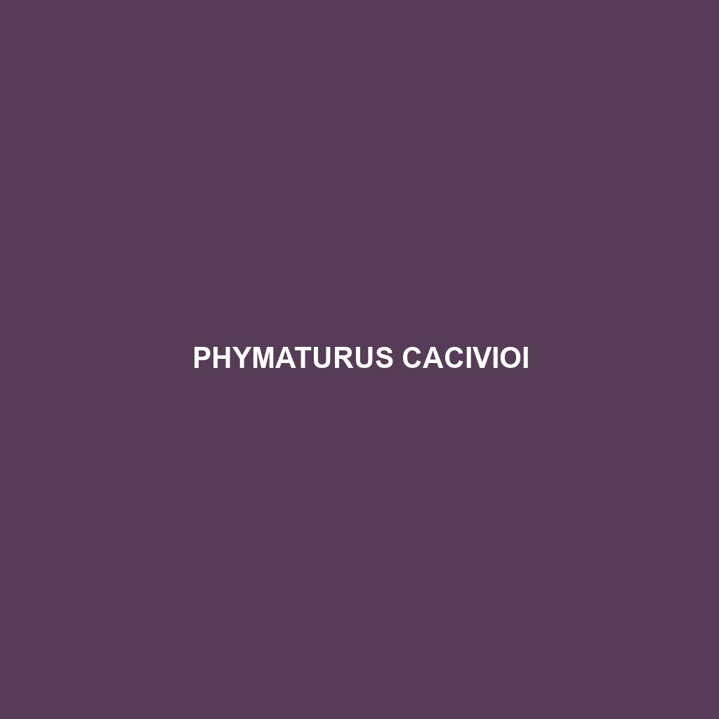 Phymaturus cacivioi