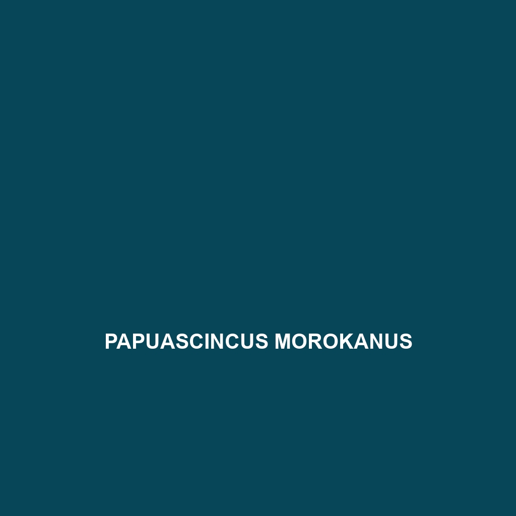 Papuascincus morokanus