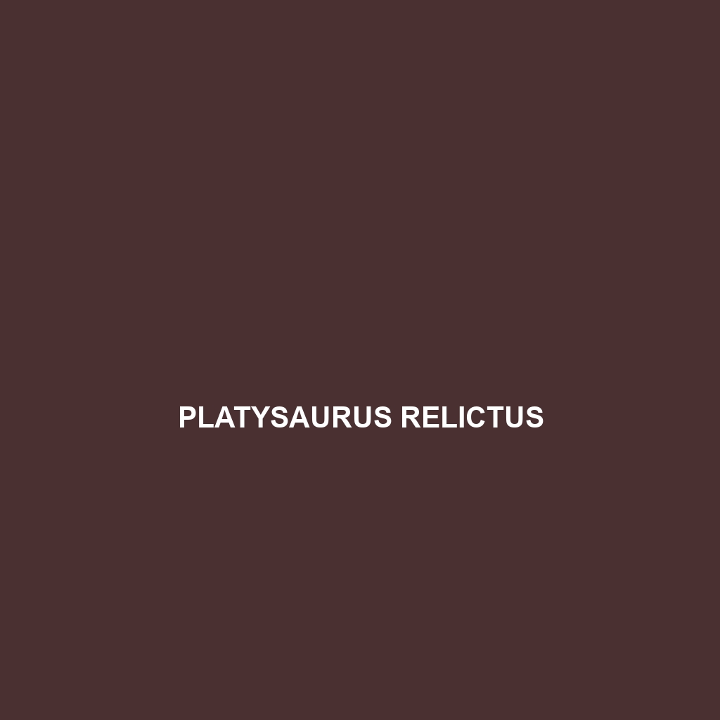 Platysaurus relictus