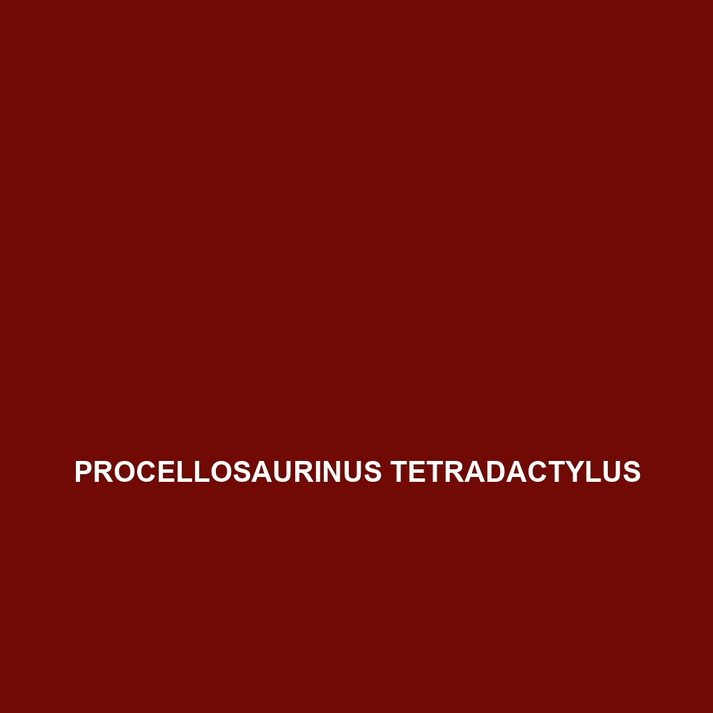 Procellosaurinus tetradactylus