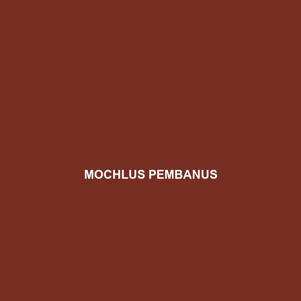 Mochlus pembanus