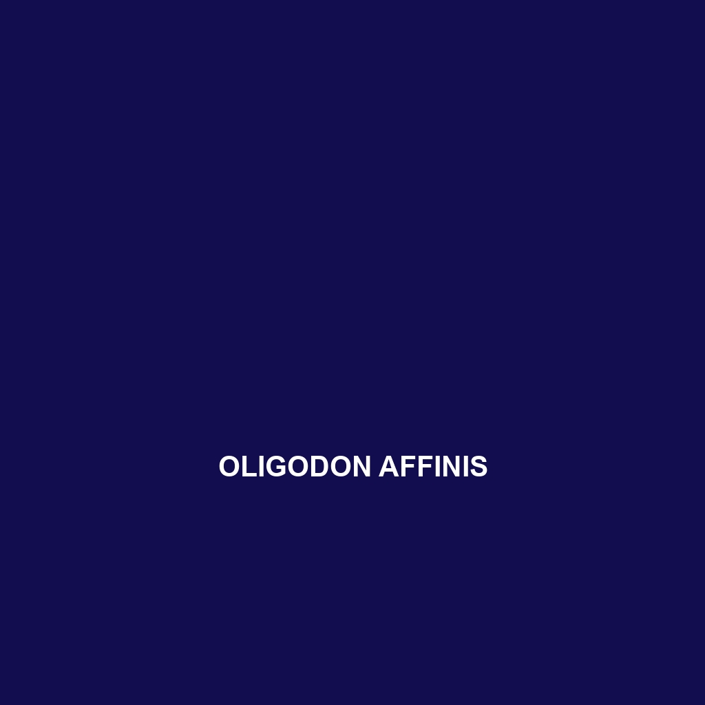 Oligodon affinis