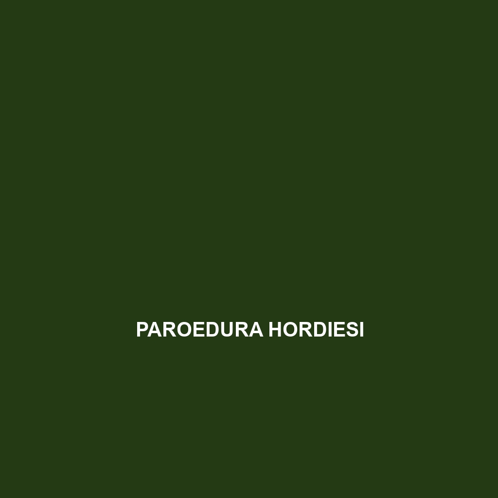 Paroedura hordiesi