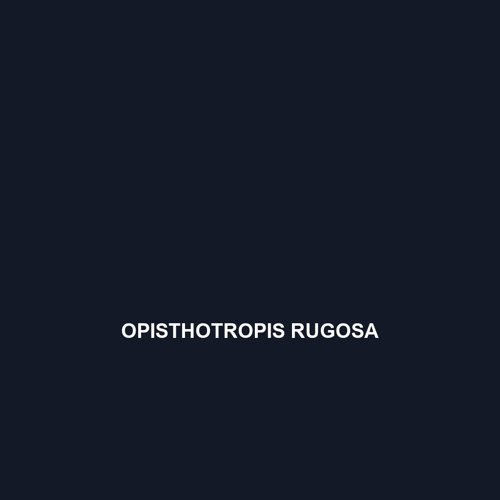 Opisthotropis rugosa