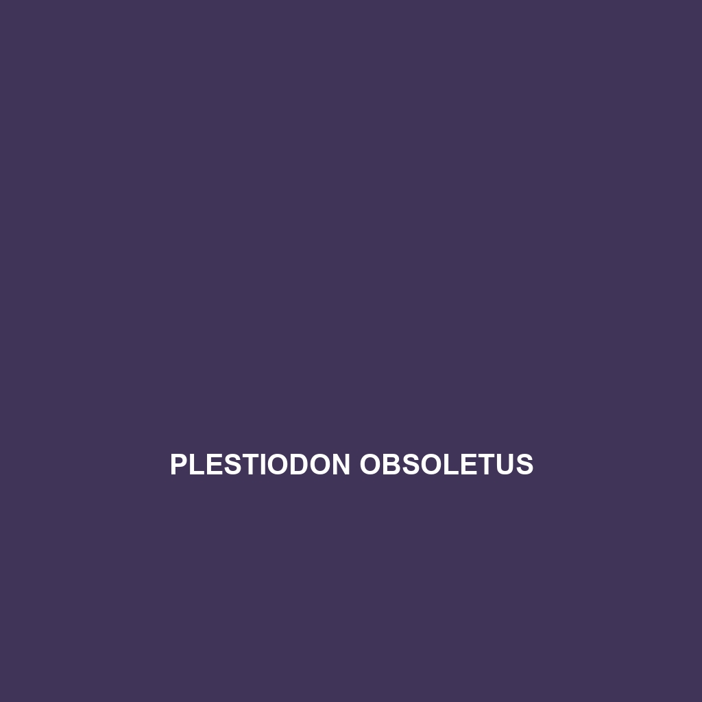 Plestiodon obsoletus