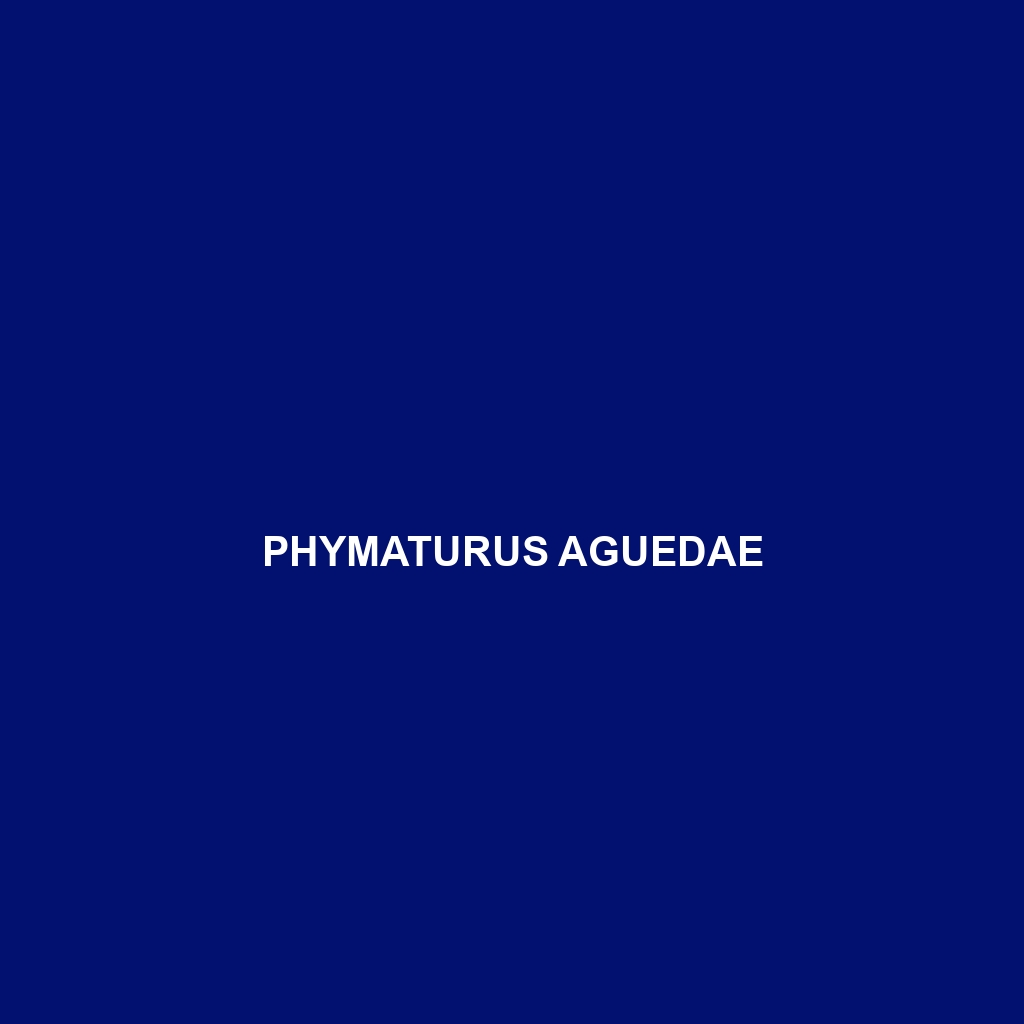 Phymaturus aguedae