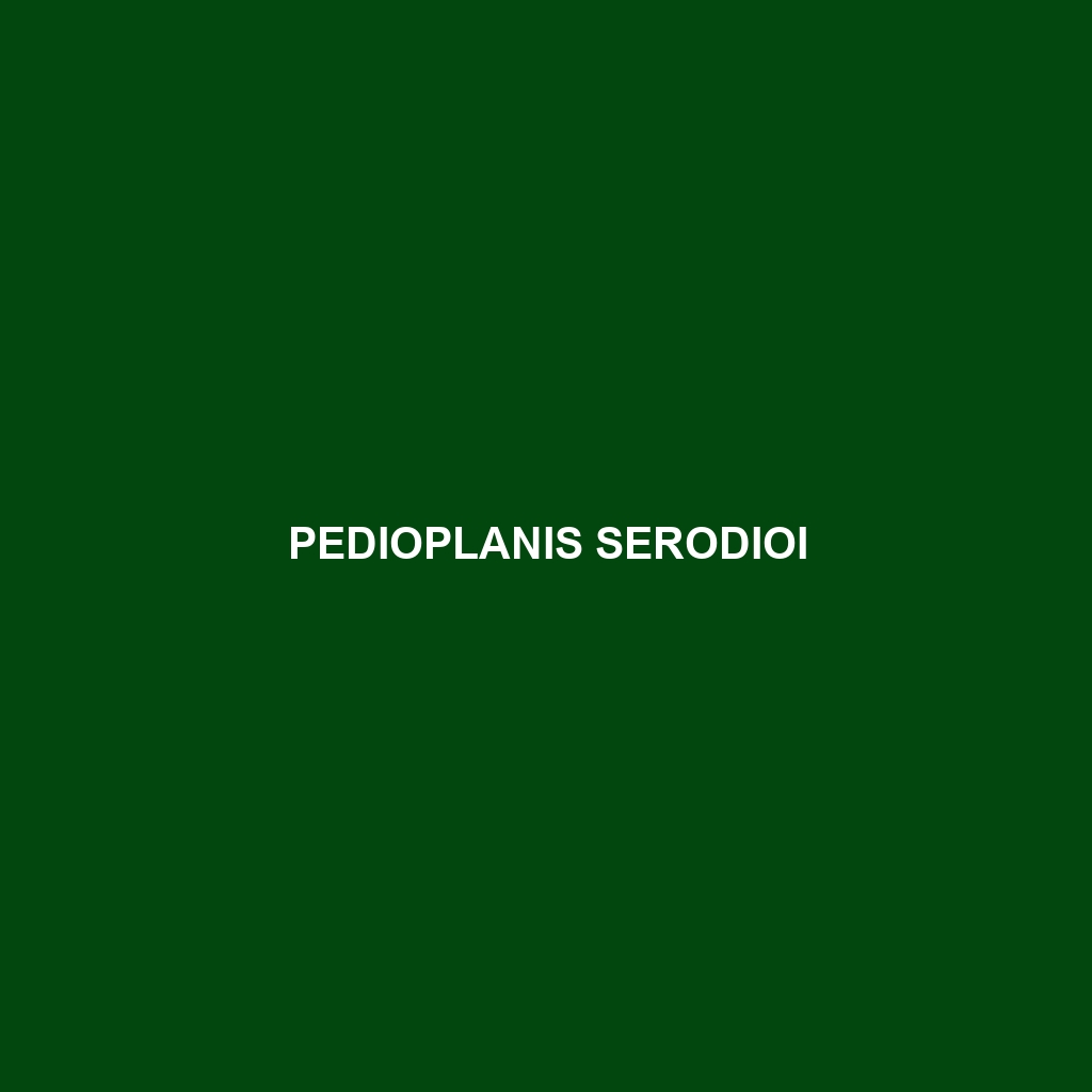 Pedioplanis serodioi